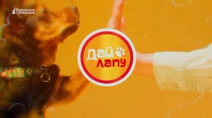 Дай лапу! Выпуск 79