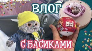 ВЛОГ С КОТАМИ БАСИКАМИ