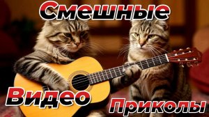 СБОРНИК:!Приколы ржаки с котами и собаками