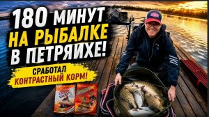 180 минут на фидерной рыбалке в Петряихе!