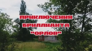 Приключения «Орлова», но не графа.сезонконтентаRUTUBE #пруд #бриллиант #рыбалка #природа
