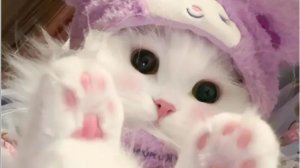 Распаковка с дршки 💝🎀