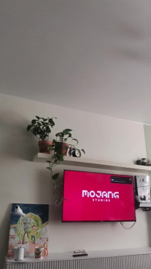Я играю в Minecraft