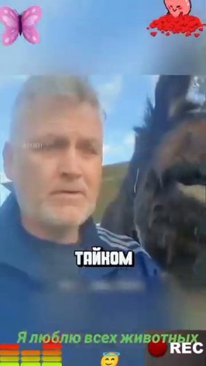 Животные-приколы и не только😉😅