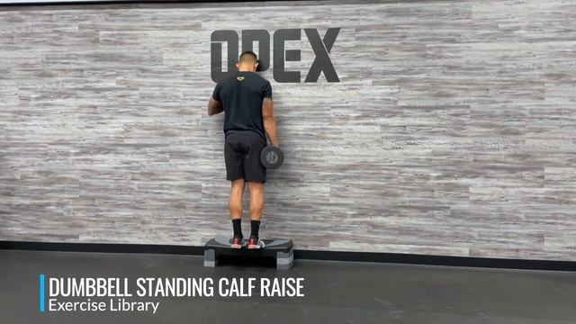 Dumbbell Standing Calf Raise | Выходы на носки 2 ноги с весом