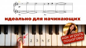 Лунный свет - ЛЕГКИЕ НОТЫ на фортепиано | МЕДЛЕННЫЙ разбор для начинающих
