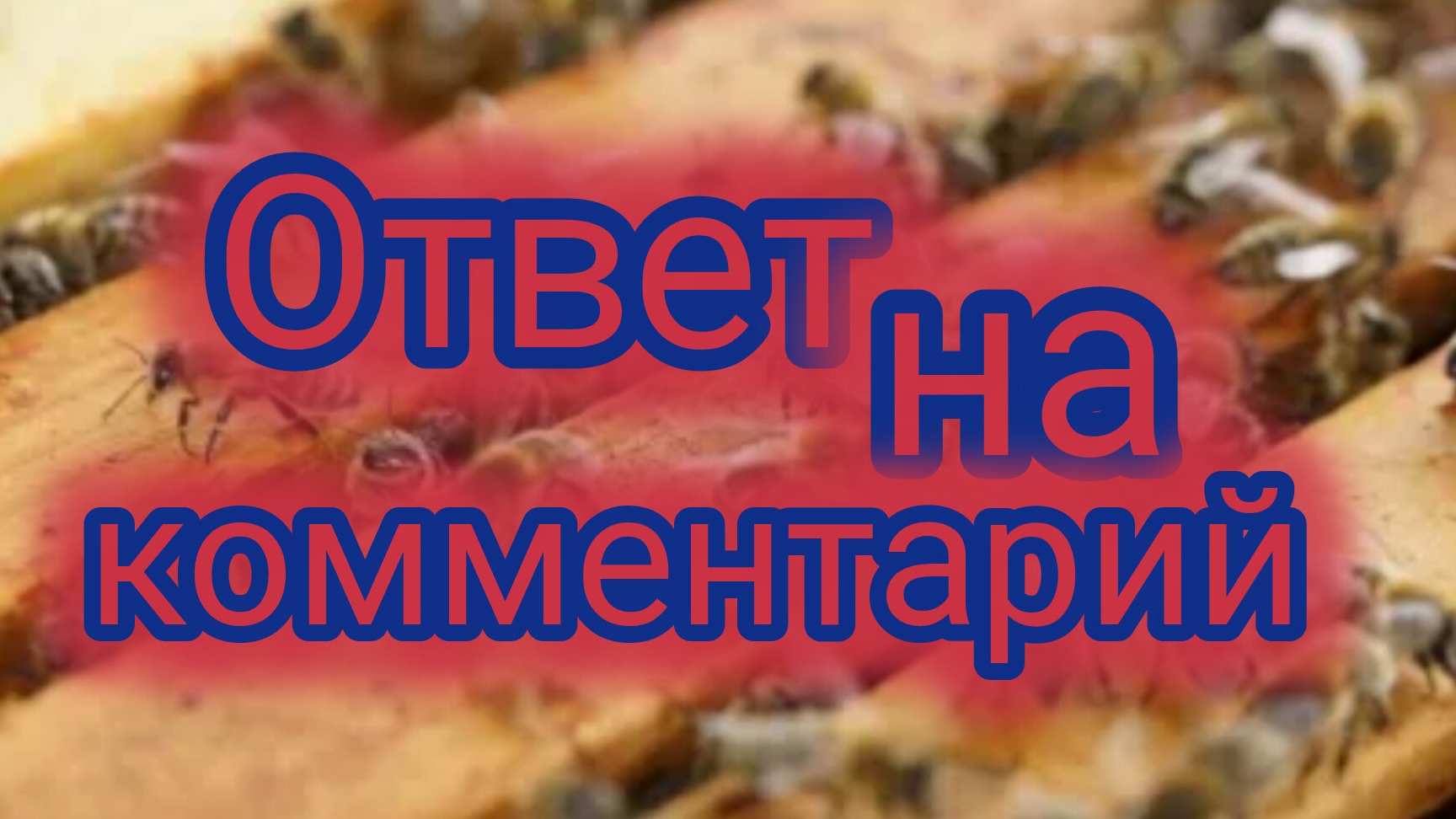 Ответ на комментарий 🐝 смотреть онлайн