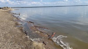 Быстрее бы купаться