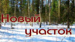 Обследую участок для создания путика удачно пробежал по насту соболь активен перспективный маршрут