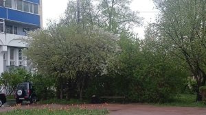 Вечером пятницы))