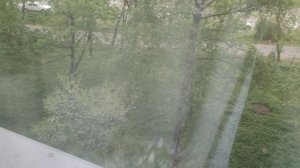 8 мая магический рассвет и убывающая луна 🌙 и скоро пойдут дожди...