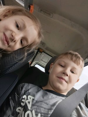 мы приехали на дачу стрим чек