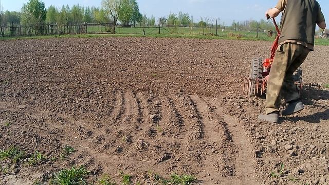 закрытие влаги бороной МТЗ