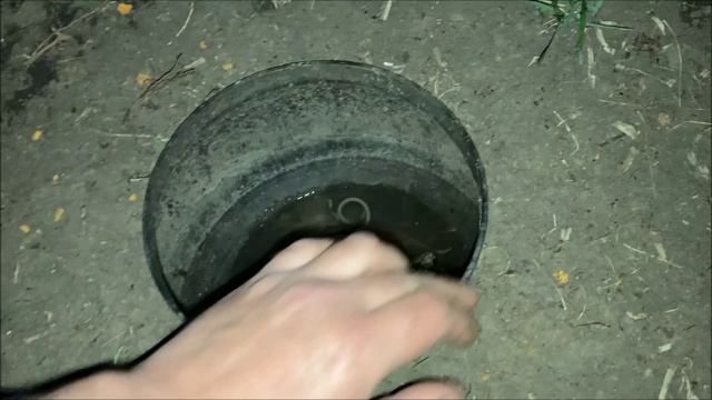 супер ловушка для мышей в огороде!