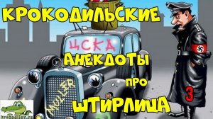 Крокодильские анекдоты про Штирица 3.