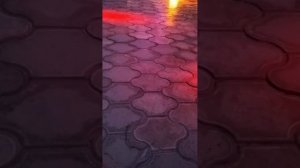 Питон в санатории Рябинушка в Анапе. 07.05.2026 г. Россия.