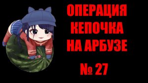 Кепочка на Арбузе 27