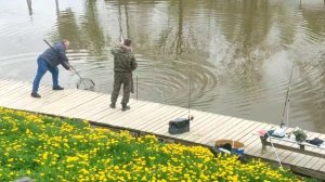 вип участок
