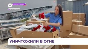 В Приморье уничтожена партия заражённых гвоздик из Китая