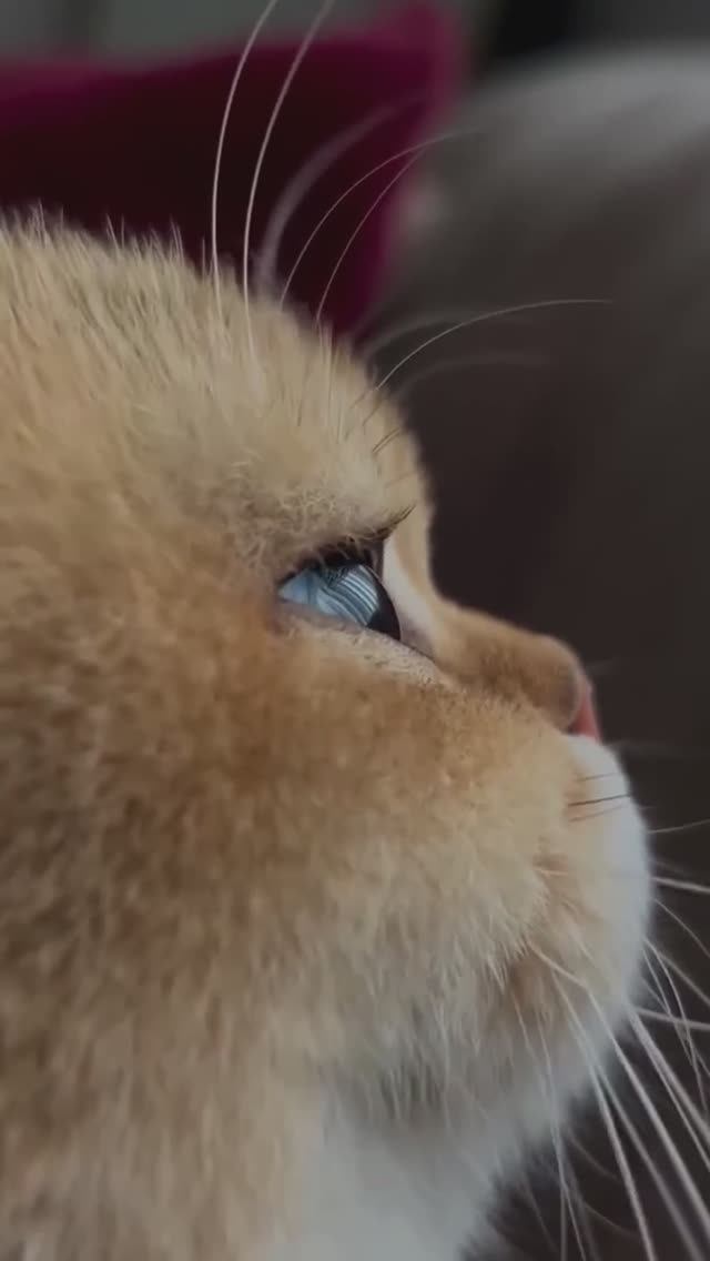 🌞 смотреть онлайн