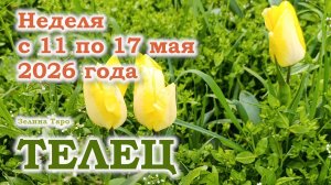 ТЕЛЕЦ | ТАРО прогноз на неделю с 11 по 17 мая 2026 года