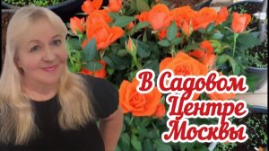 В Садовом центре много красоты для сада и балконов.