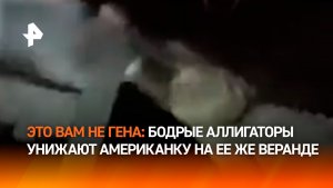 Схватка аллигаторов во дворе жилого дома в США