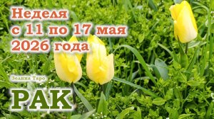 РАК | ТАРО прогноз на неделю с 11 по 17 мая 2026 года