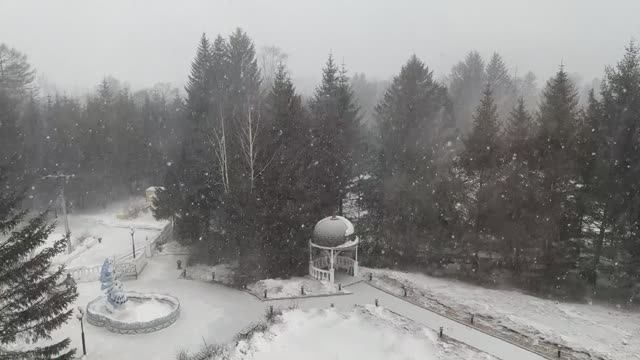 Люблю тебя смотреть онлайн