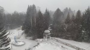 Люблю тебя