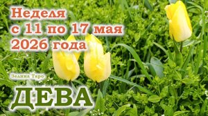 ДЕВА | ТАРО прогноз на неделю с 11 по 17 мая 2026 года