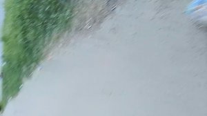 1000003426.mp4