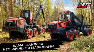 КамАЗ не побоялся поехать в лес 📺 Новости с колёс №3727