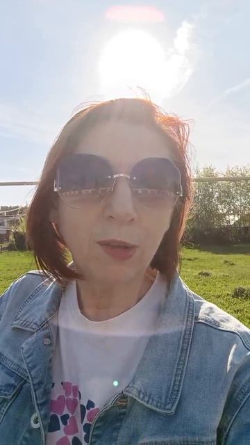 Берёзовский, отключай отопление! На улице под 30 градусов!