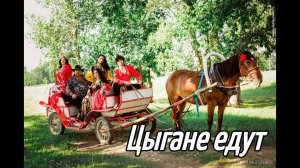 ВСЕМ ТАБАРОМ К ЕФИМЫЧУ .......