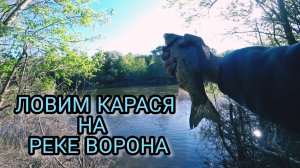 ЛОВИМ КАРАСЯ НА РЕКЕ ВОРОНА