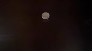Hitman coin