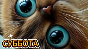 Открытки с добрым утром субботы:  отличных выходных | Домохозяйка