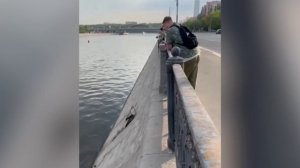 Сом-гигант весом 25 кг попался на крючок в центре Москвы