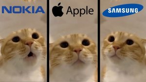 Кошачье мычание, но это знаменитые мелодии для телефона!!!