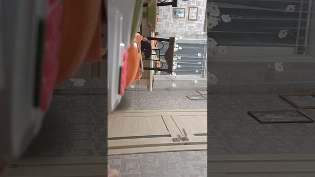 мой рабочий день🤟🤘 смотреть онлайн