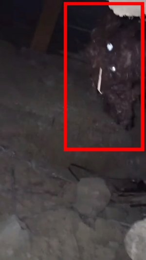 Страшное существо заснятое на камеру в заброшках