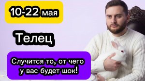 Телец - 10-22 мая. Гороскоп. Случится то, от чего у вас будет шок!