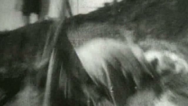 Мхитарян Гарегин Меликович. Личное дело.  АМС Владикавказ