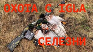 Охота с IGLA, выпуск 6: Весенний селезень