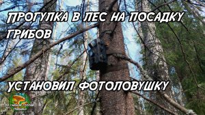 Прогулка в лес на посадку грибов. Установил фотоловушку. 09.05.26