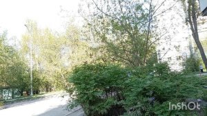 246).09.05.26.Моя городская жизнь👩 🌇🍀🍀🍀. Дорогие зрители с праздником вас. 🌹🌹🌹👩