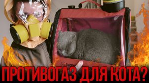 Самоспасатель для кота - СПП «Шанс»