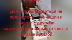 Нелегальная мигрантка спряталась от полицейских в холодильнике во время рейда на пилораме в Краснояр