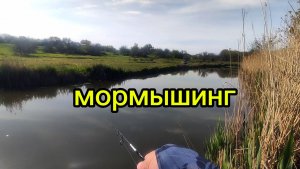 Поймал рекордного карася на Мормо. Мормышинг 7 мая
